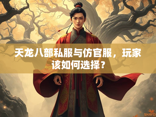 天龙八部私服与仿官服，玩家该如何选择？