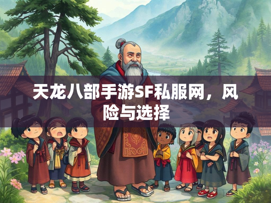 天龙八部手游SF私服网，风险与选择  第2张