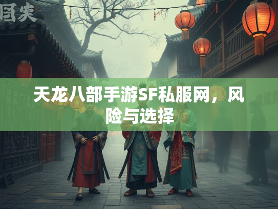 天龙八部手游SF私服网，风险与选择  第3张