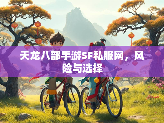 天龙八部手游SF私服网，风险与选择