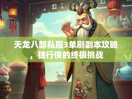 天龙八部私服3单刷副本攻略，独行侠的终极挑战  第3张