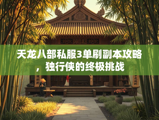 天龙八部私服3单刷副本攻略，独行侠的终极挑战