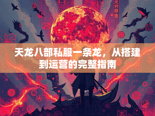 天龙八部私服一条龙，从搭建到运营的完整指南