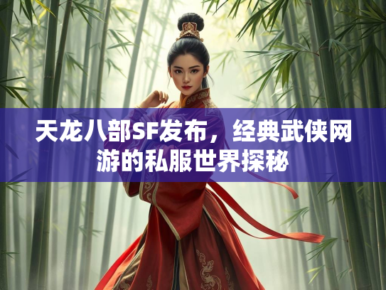 天龙八部SF发布，经典武侠网游的私服世界探秘  第2张