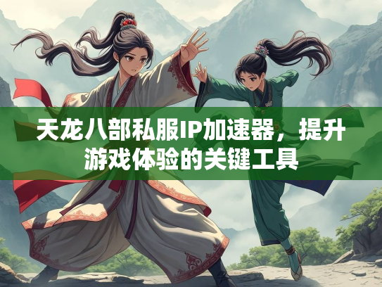天龙八部私服IP加速器，提升游戏体验的关键工具