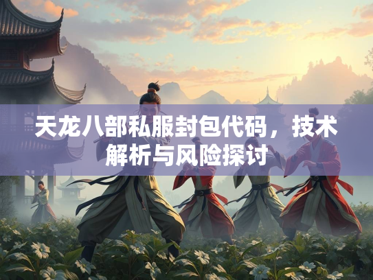 天龙八部私服封包代码，技术解析与风险探讨  第3张