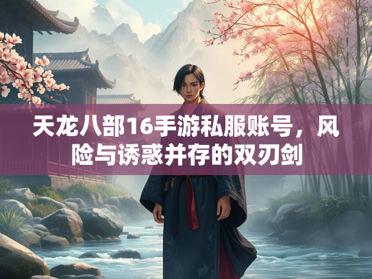 天龙八部16手游私服账号，风险与诱惑并存的双刃剑  第1张