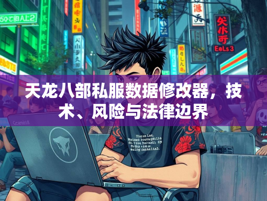 天龙八部私服数据修改器，技术、风险与法律边界  第1张