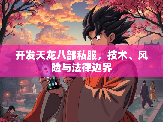 开发天龙八部私服，技术、风险与法律边界  第2张