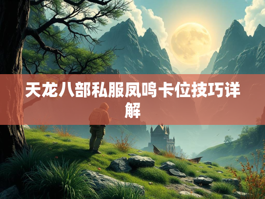 天龙八部私服凤鸣卡位技巧详解  第2张