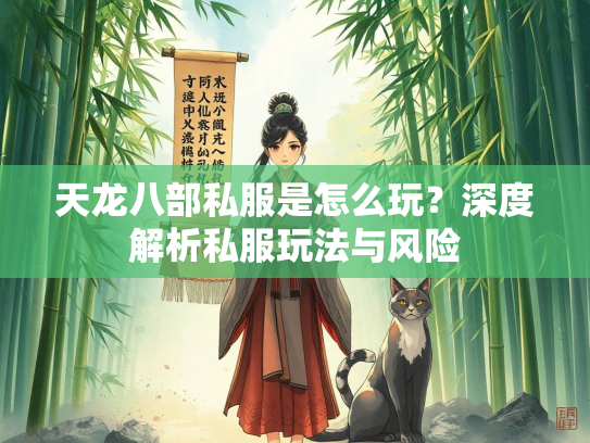 天龙八部私服是怎么玩？深度解析私服玩法与风险