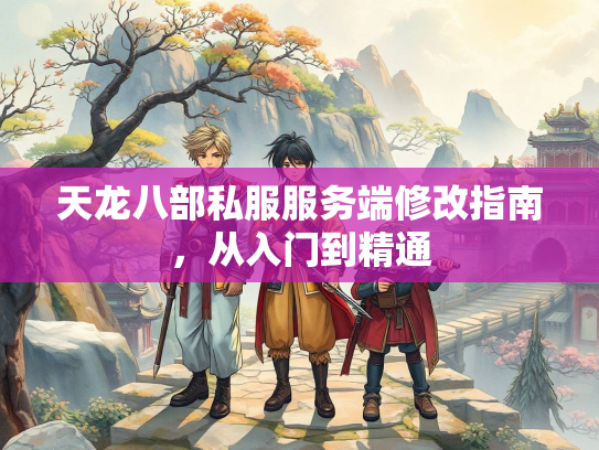 天龙八部私服服务端修改指南，从入门到精通  第2张