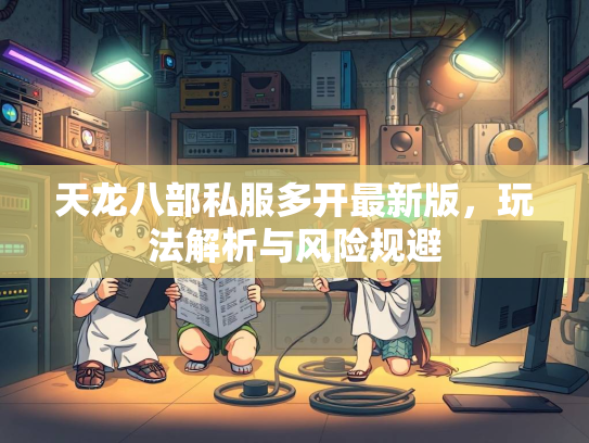 天龙八部私服多开最新版，玩法解析与风险规避