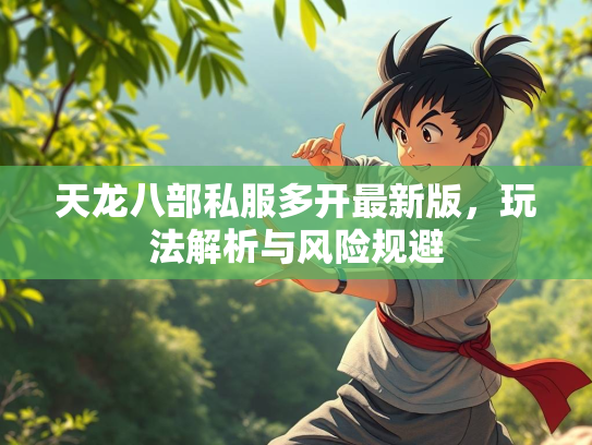天龙八部私服多开最新版，玩法解析与风险规避