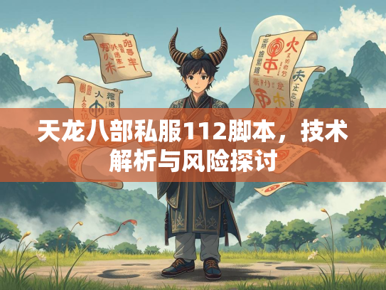 天龙八部私服112脚本，技术解析与风险探讨