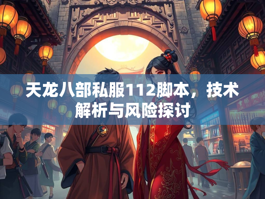 天龙八部私服112脚本，技术解析与风险探讨