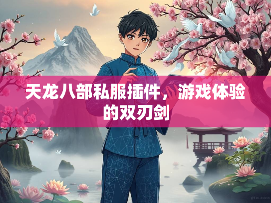 天龙八部私服插件，游戏体验的双刃剑