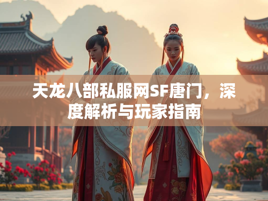 天龙八部私服网SF唐门，深度解析与玩家指南  第3张