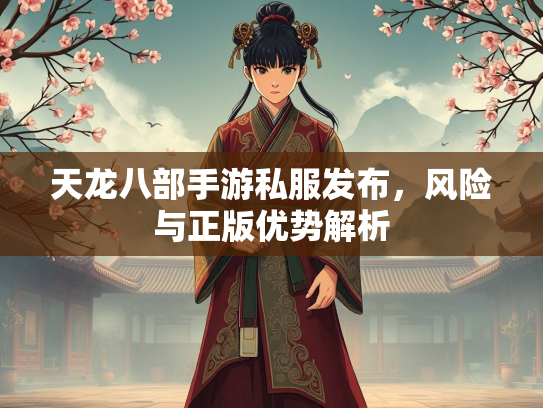 天龙八部手游私服发布，风险与正版优势解析  第2张