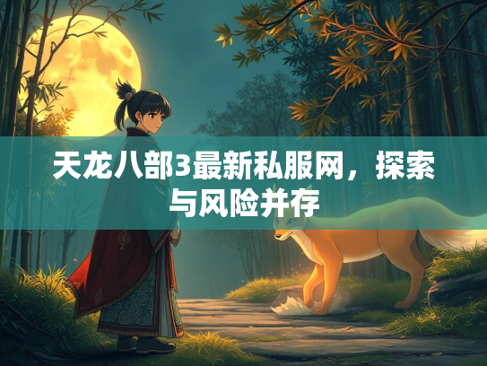 天龙八部3最新私服网，探索与风险并存