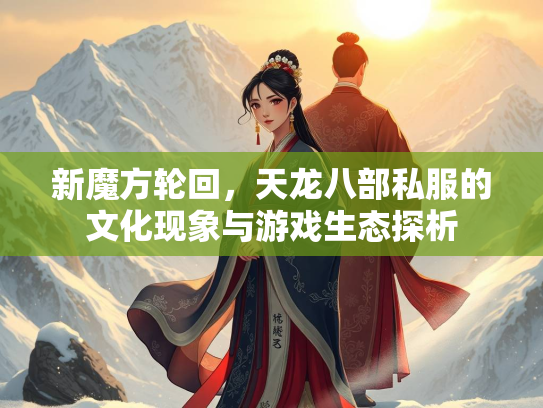 新魔方轮回，天龙八部私服的文化现象与游戏生态探析  第2张