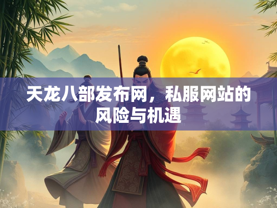 天龙八部发布网，私服网站的风险与机遇