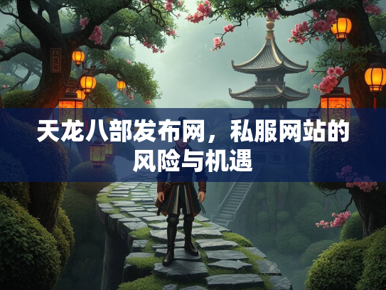 天龙八部发布网，私服网站的风险与机遇
