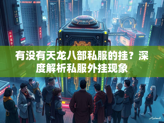 有没有天龙八部私服的挂？深度解析私服外挂现象