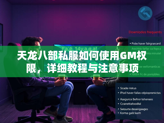 天龙八部私服如何使用GM权限，详细教程与注意事项