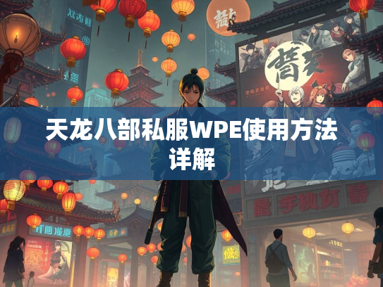 天龙八部私服WPE使用方法详解