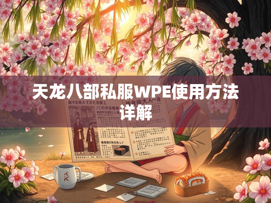 天龙八部私服WPE使用方法详解