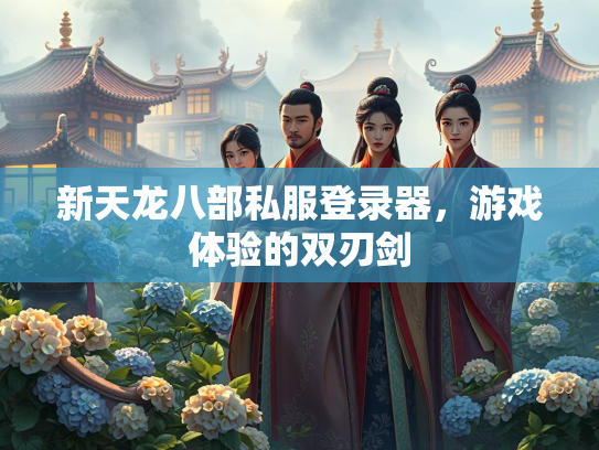 新天龙八部私服登录器，游戏体验的双刃剑
