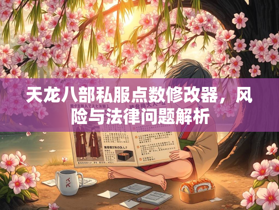 天龙八部私服点数修改器，风险与法律问题解析