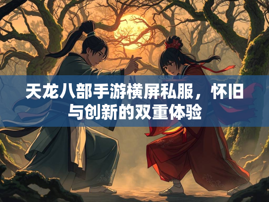 天龙八部手游横屏私服，怀旧与创新的双重体验