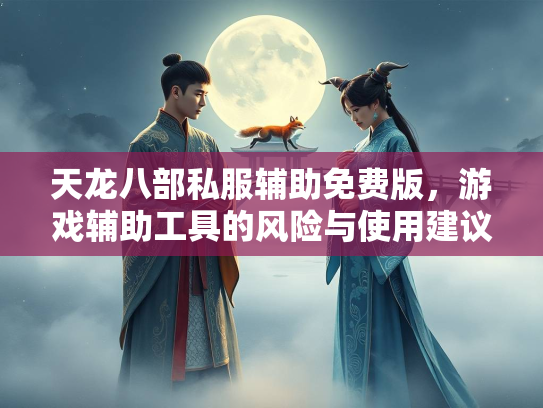 天龙八部私服辅助免费版，游戏辅助工具的风险与使用建议
