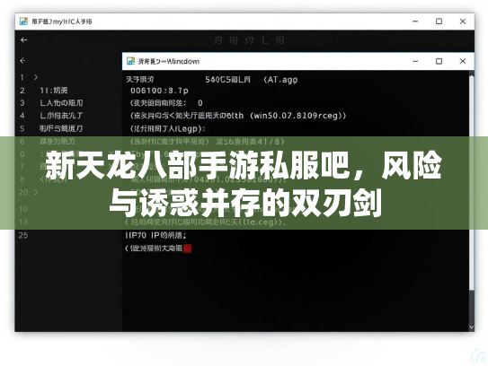 新天龙八部手游私服吧，风险与诱惑并存的双刃剑