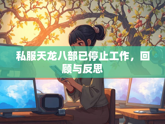 私服天龙八部已停止工作，回顾与反思