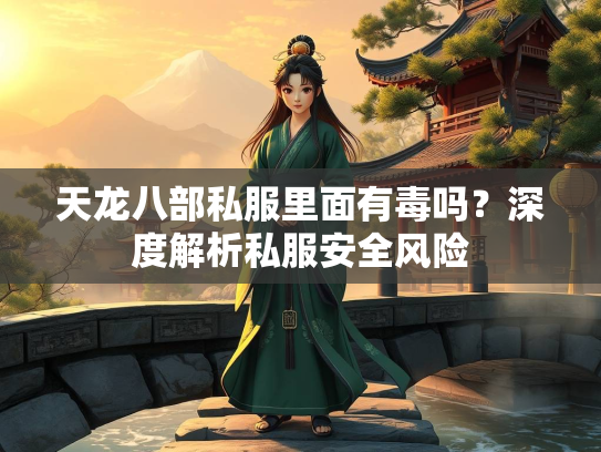 天龙八部私服里面有毒吗？深度解析私服安全风险  第2张