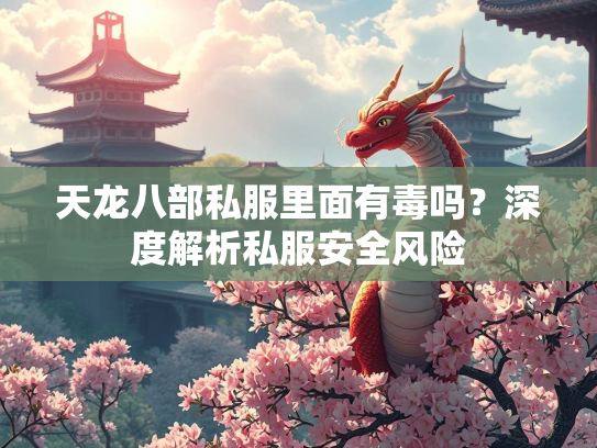 天龙八部私服里面有毒吗？深度解析私服安全风险  第3张