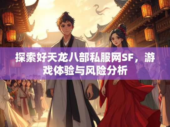 探索好天龙八部私服网SF，游戏体验与风险分析  第2张