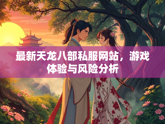 最新天龙八部私服网站，游戏体验与风险分析  第2张