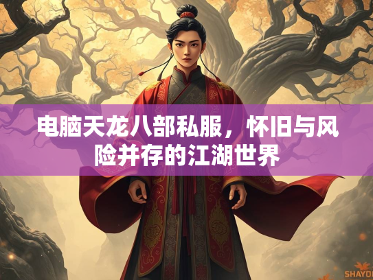电脑天龙八部私服，怀旧与风险并存的江湖世界  第2张