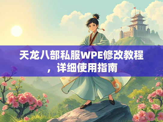 天龙八部私服WPE修改教程，详细使用指南  第2张