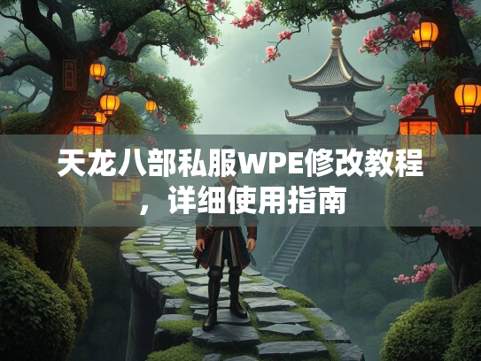天龙八部私服WPE修改教程，详细使用指南