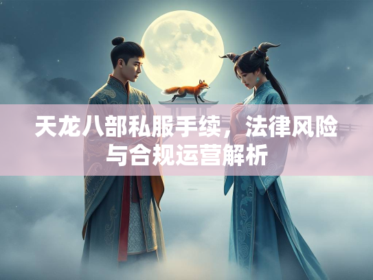 天龙八部私服手续，法律风险与合规运营解析
