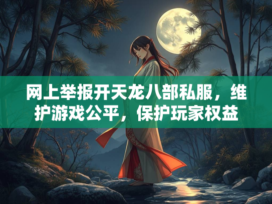网上举报开天龙八部私服，维护游戏公平，保护玩家权益  第2张