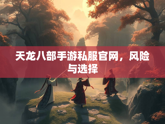 天龙八部手游私服官网，风险与选择  第2张