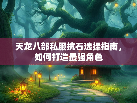 天龙八部私服抗石选择指南，如何打造最强角色