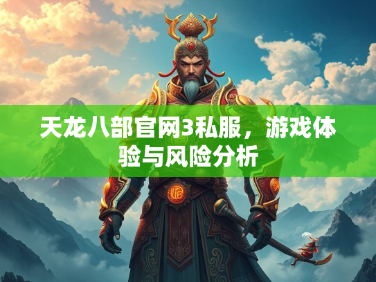 天龙八部官网3私服，游戏体验与风险分析  第2张