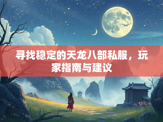 寻找稳定的天龙八部私服，玩家指南与建议  第2张